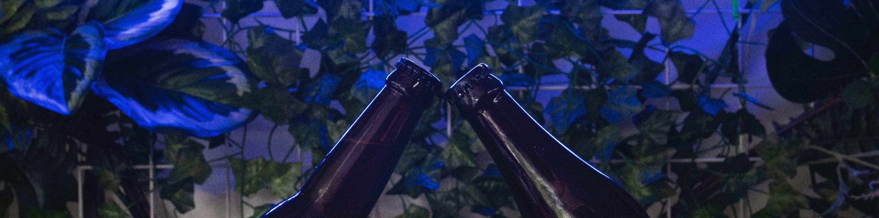 Crust Beer Masters Admission in Singapore Klook